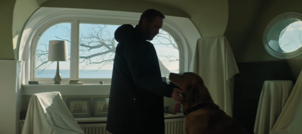 Фото взято из открытых источников .