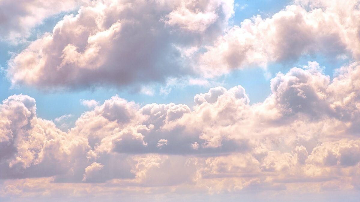    Фото: UNsplash Август Макаров