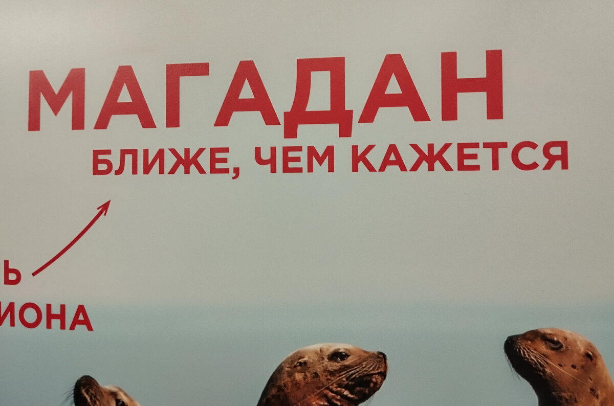 Просто плакат в метро. В свете последних событий -прямо вздрогнула!