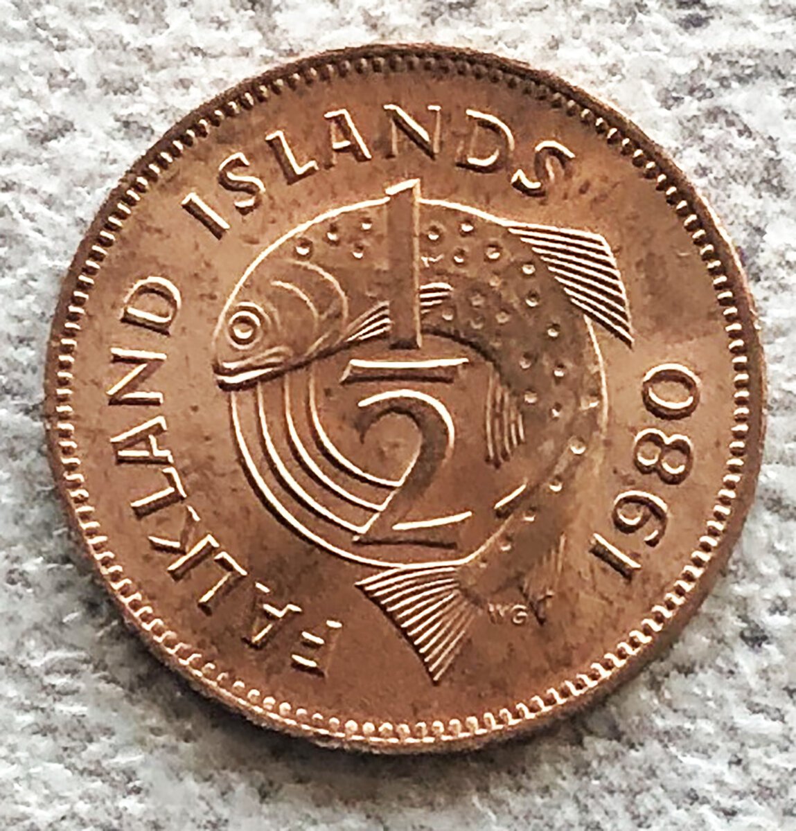 Фолклендские острова половина пенни 1980 Лосось. Фото автора. 