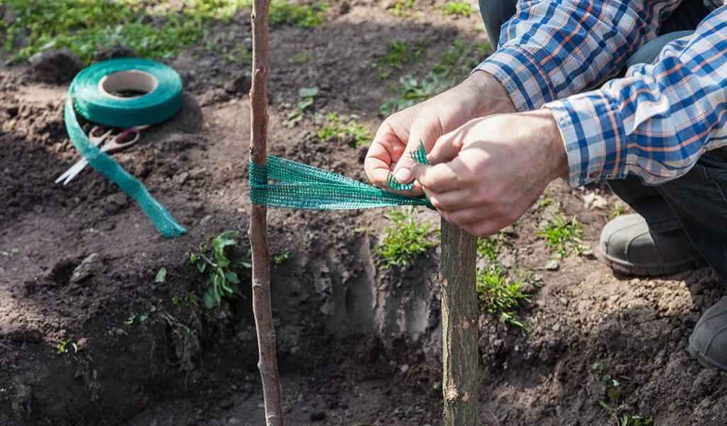 Взято из открытых источников