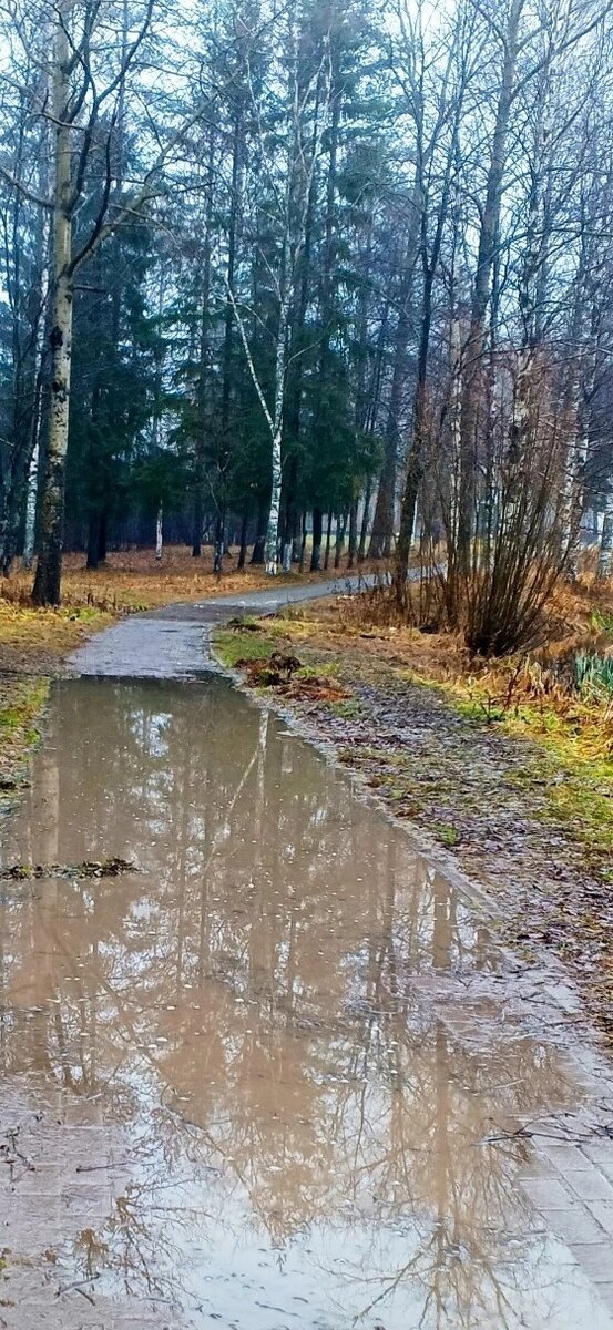 И такие дорожки домой...