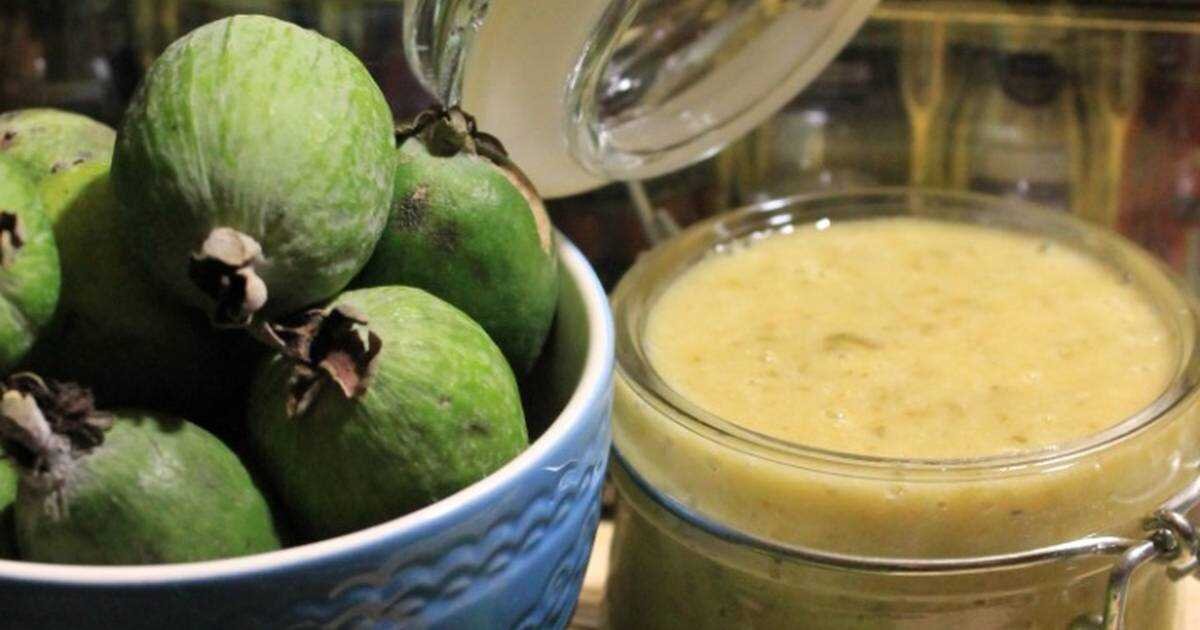 Жидкость skala salt, 30 мл анды. Фруктовый сок киви. Лайм и мята. Фейхоа клубника. Фейхоа брага.