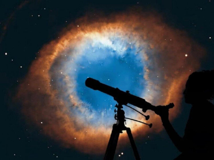     Фото: ru.freepik.com