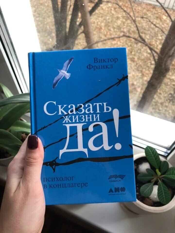 Франкл психолог в концлагере. Франкл скажи жизни да. Виктор Франкл сказать жизни да. Виктор Франкл книга скажи жизни да. Виктор Франкл сказать жизни да психолог в концлагере.