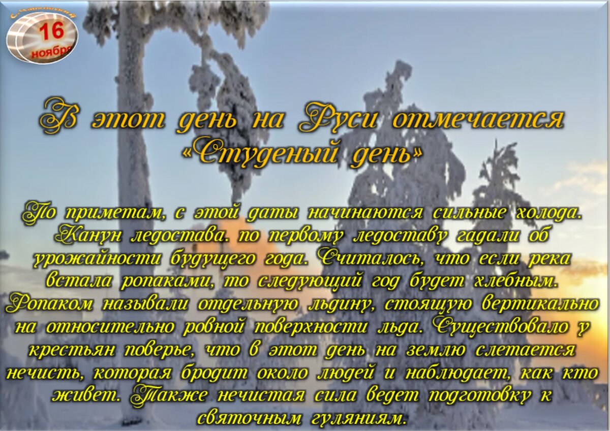 16 ноября - Приметы, обычаи и ритуалы, традиции и поверья дня. Все  праздники дня во всех календарях. | Сергей Чарковский Все праздники | Дзен