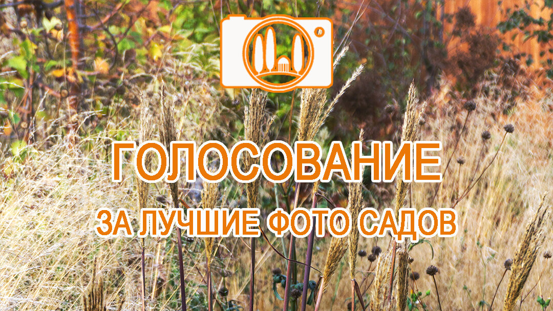 30 участников, 360 фотографий красивых садов.
