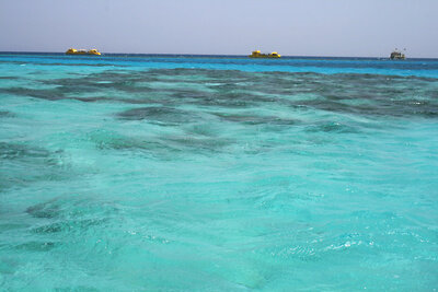    Красное море, Хургада © Wikipedia.org