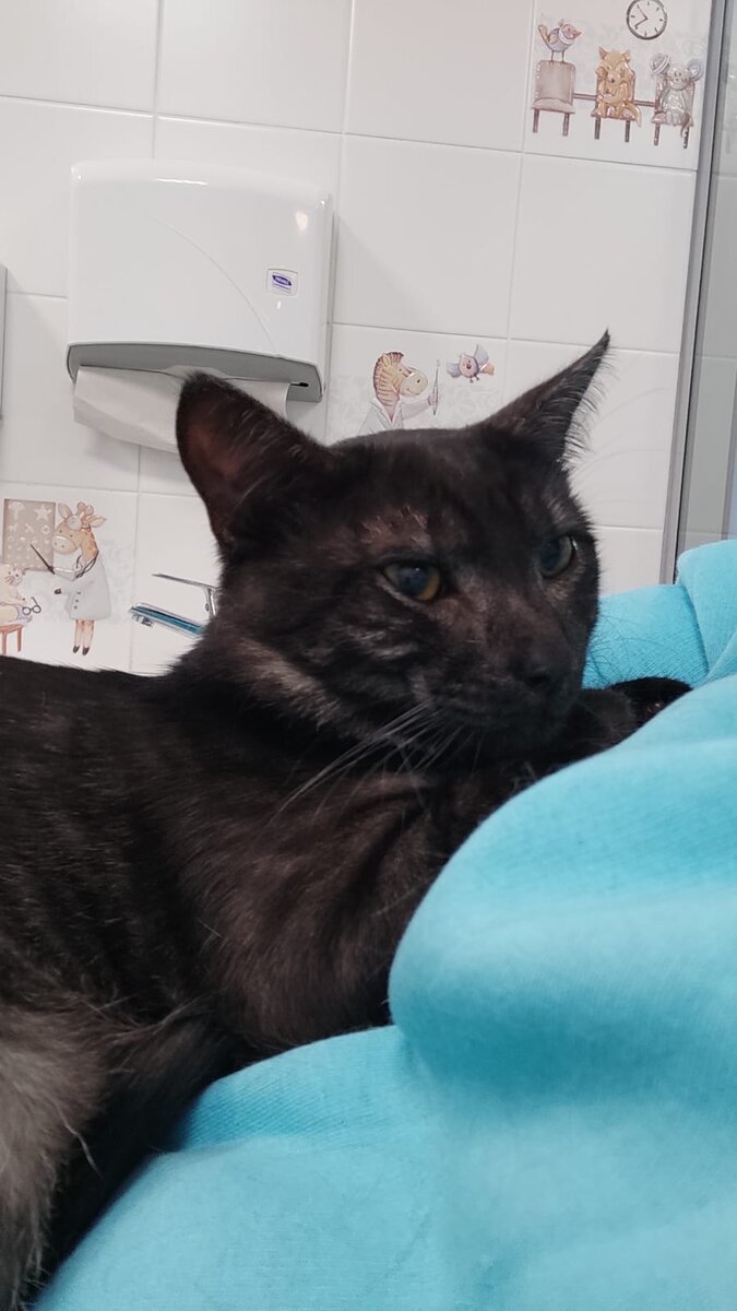 Дома хорошо!!