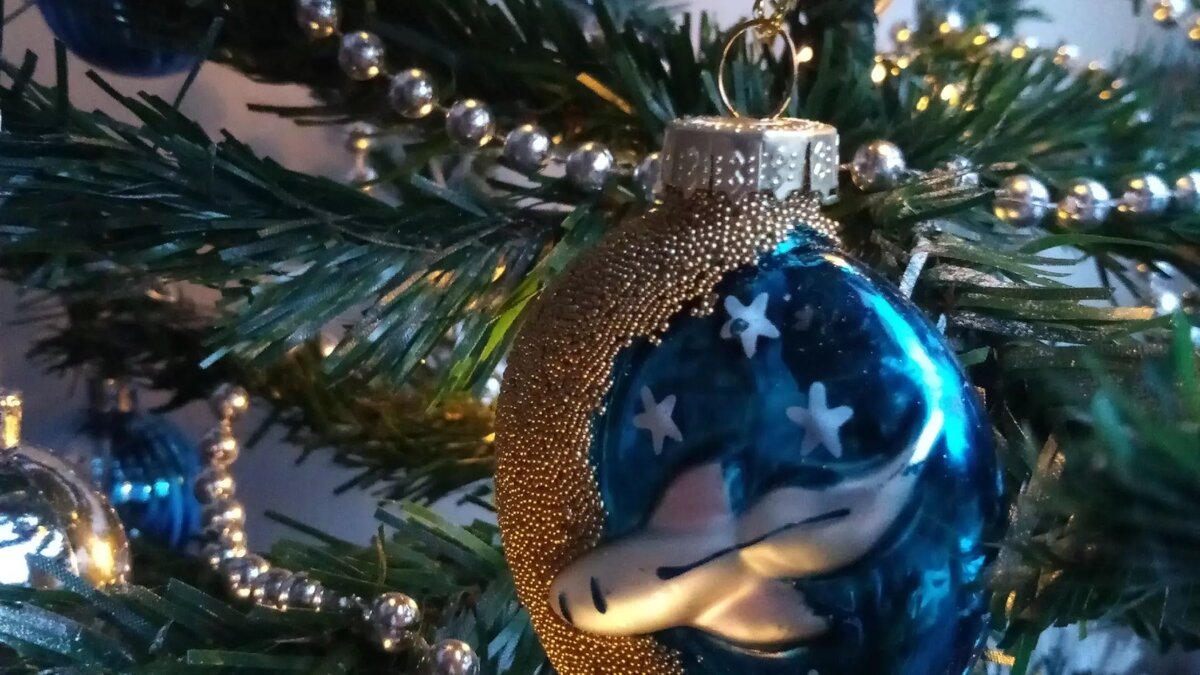     Праздничное открытие центральной елки у Центра семьи «Казан» обойдется в 2,6 миллиона рублей. Об этом говорится в тендере, размещенном на сайте госзакупок.