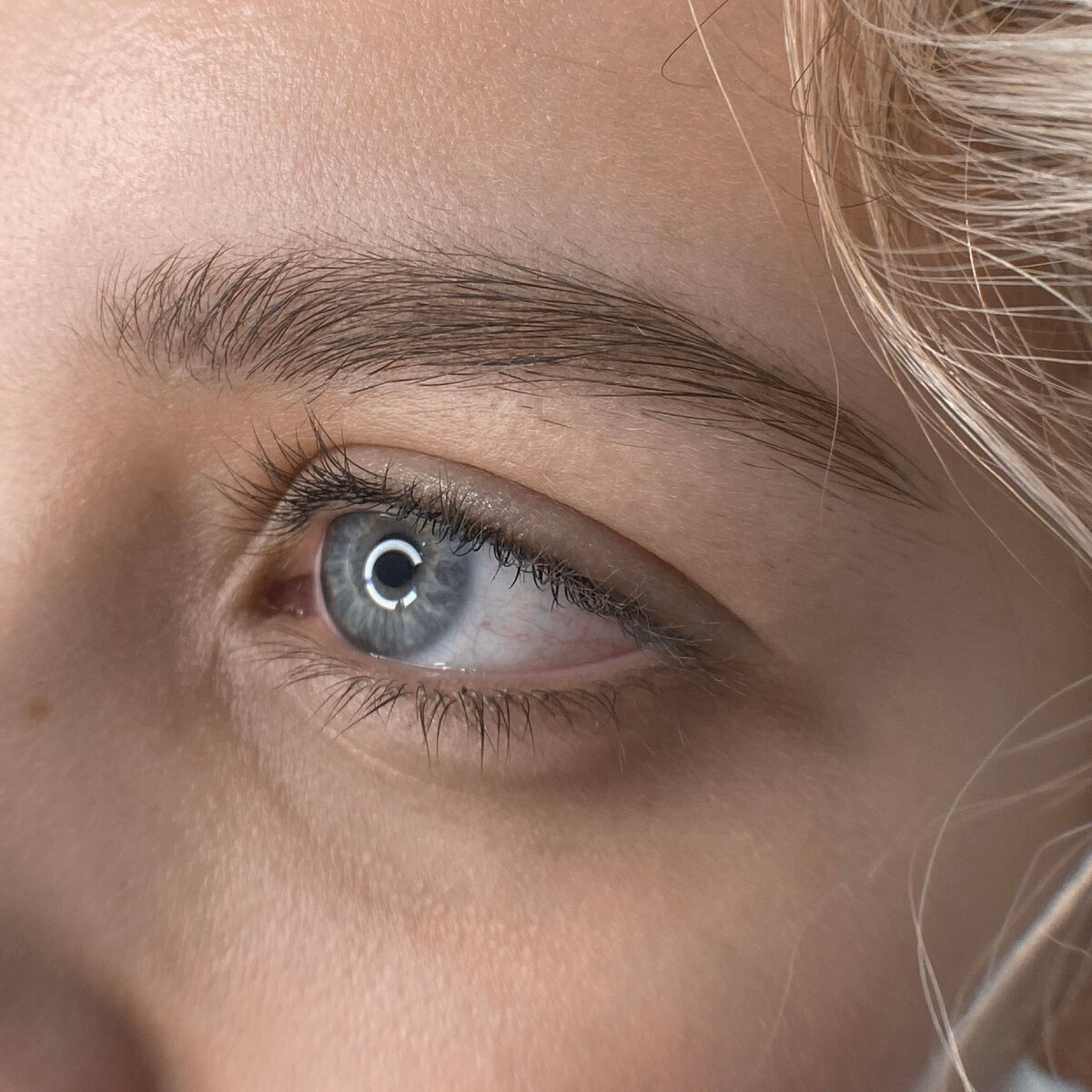 Заживший перманентный макияж бровей