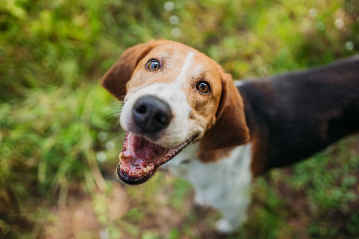 Фото-собственность канала