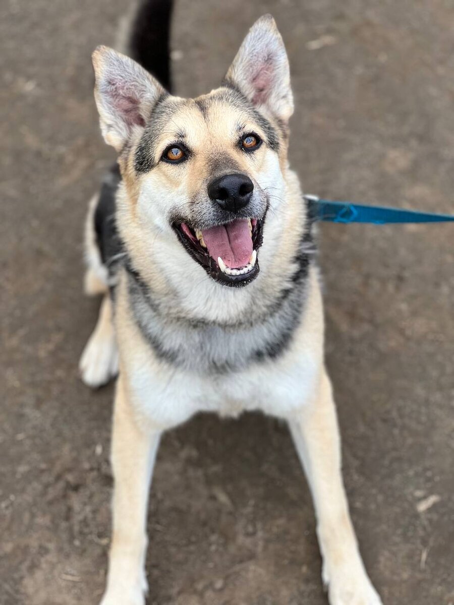 Фото- собственность канала