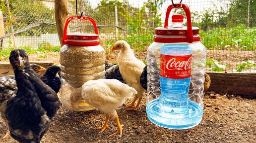 Супер идея: практичная кормушка и поилка для цыплят из пластиковых бутылок