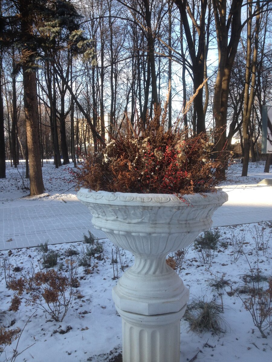 Зимний. Елена Маркова. 6 фото, листайте