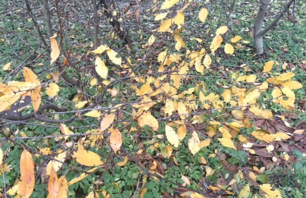    Фото: Екатерина Иванова. UG.RU