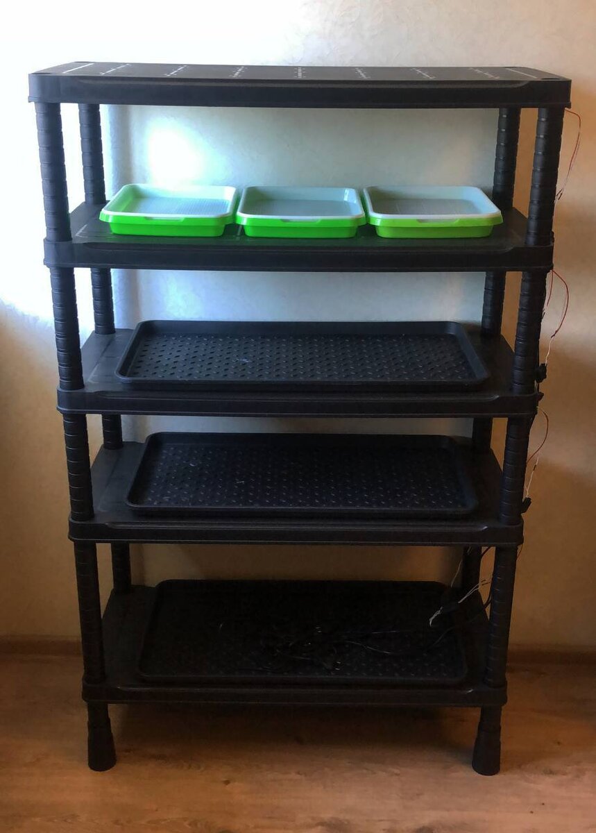 На фото один из моих стеллажей.