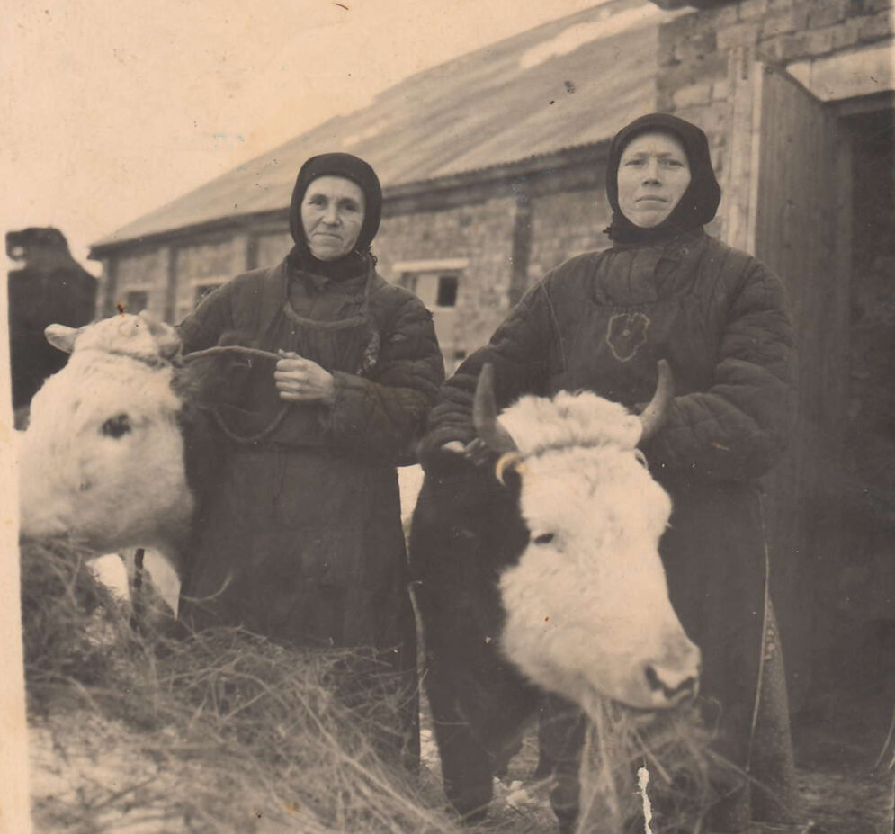 Из архива Н.Лебедева