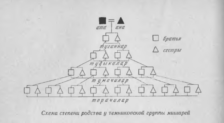 Схема степеней родства. Степень родства. Схема родства. Схема родственного слияния. Степень родства в семье для анкеты.