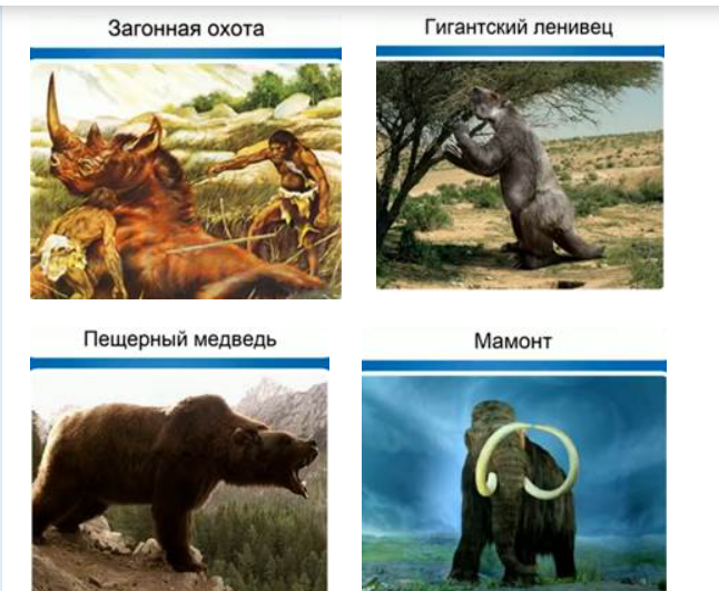 ЛЕКЦИЯ №17 Роль загонной (коллективной) охоты Человек – это биологический вид, относящийся к царству животных. Однако влияние человека на биосферу имеет свою специфику.