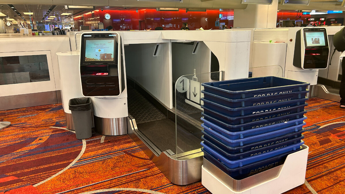 Самостоятельная сдача багажа