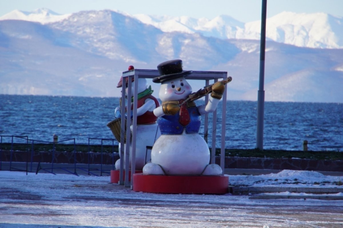    В Петропавловске-Камчатском начали устанавливать новогодние фигуры