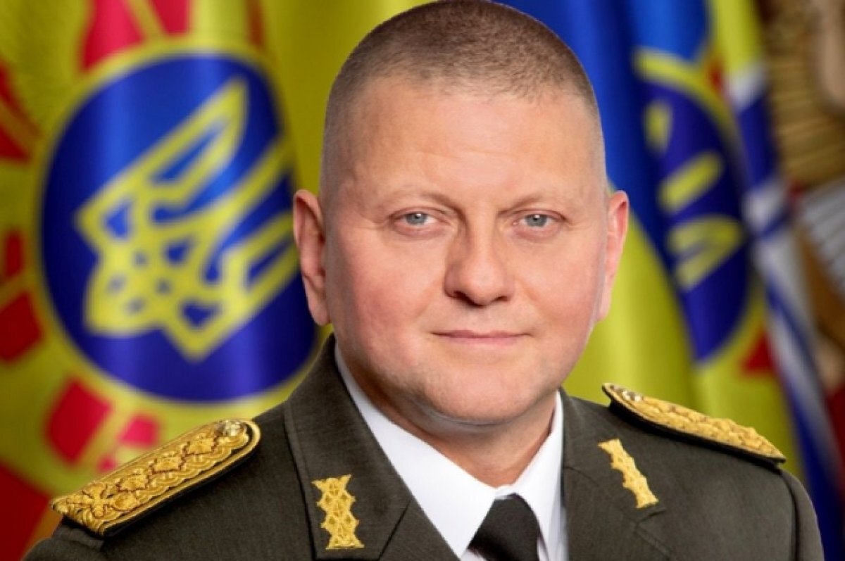    Украинские СМИ заявили, что против Залужного могут возбудить уголовные дела