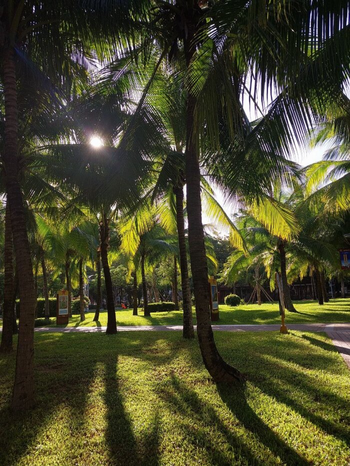 Фото: Vostok.Today. Хайнань по-прежнему прекрасен 
