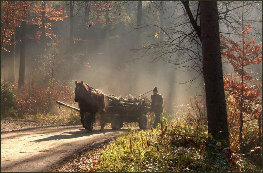 Лошадь с повозкой.