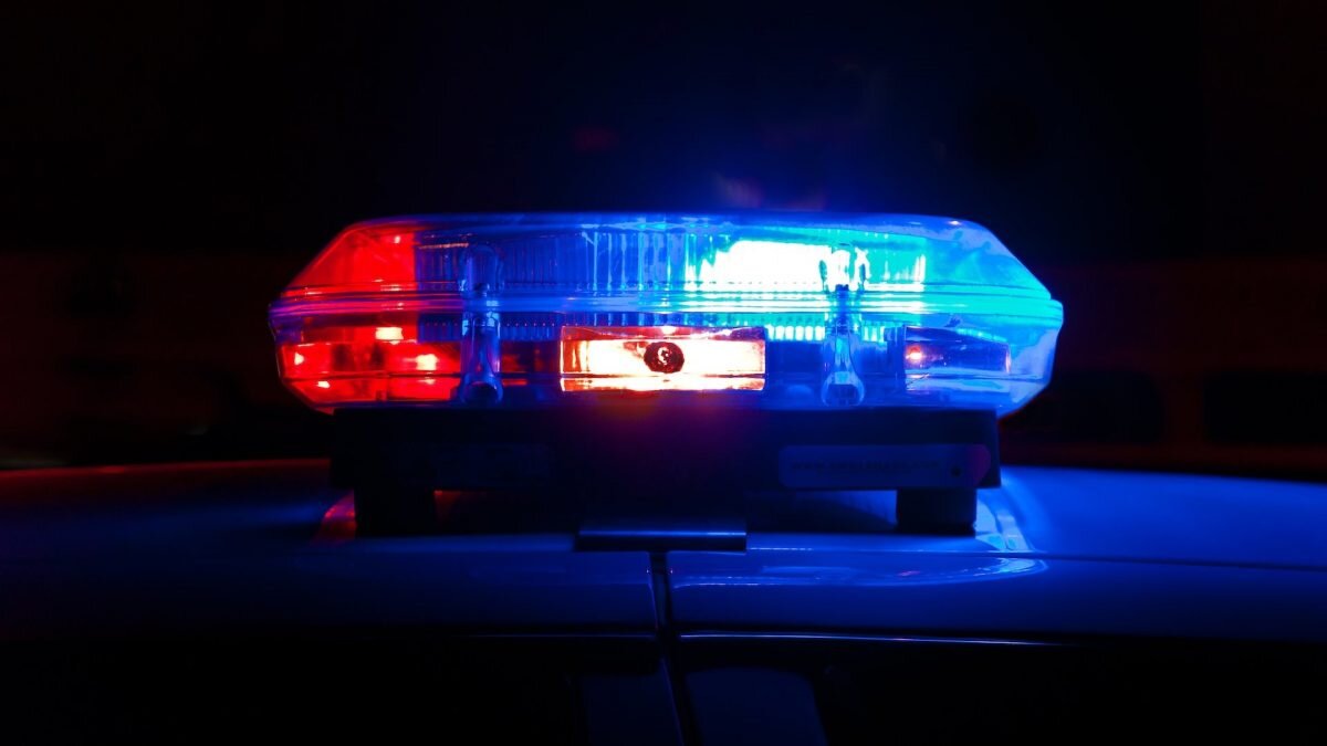    Фото: unsplash.com. Август Макаров