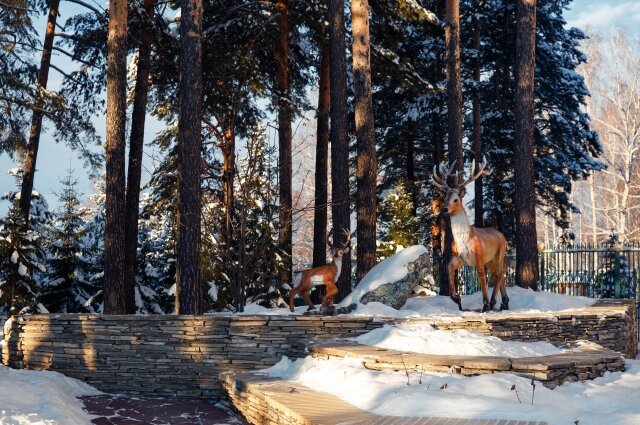    Фото: Санаторий "Янган-тау"
