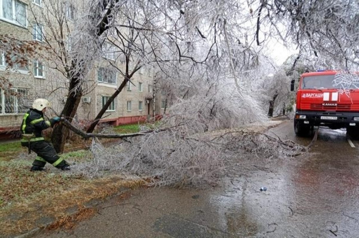    Гидрометеоролог Кубай рассказал, что такое ледяной дождь