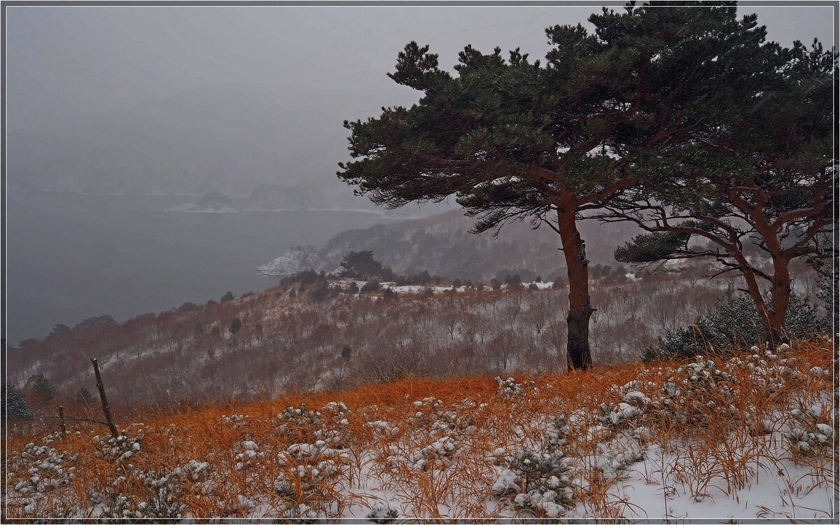 Фото О. Пятин