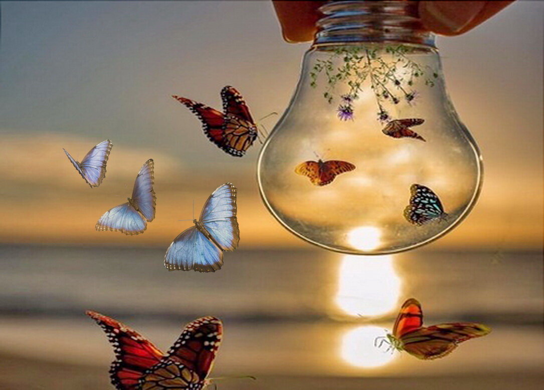 Фото: Яндекс картинки