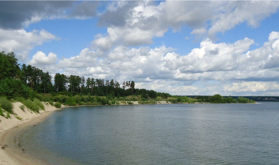 Бердская коса новосибирская область. Бердская коса Бердск. Заповедник Бердская коса Бердск. Бердская коса. Бердская коса Новосибирск отдых.