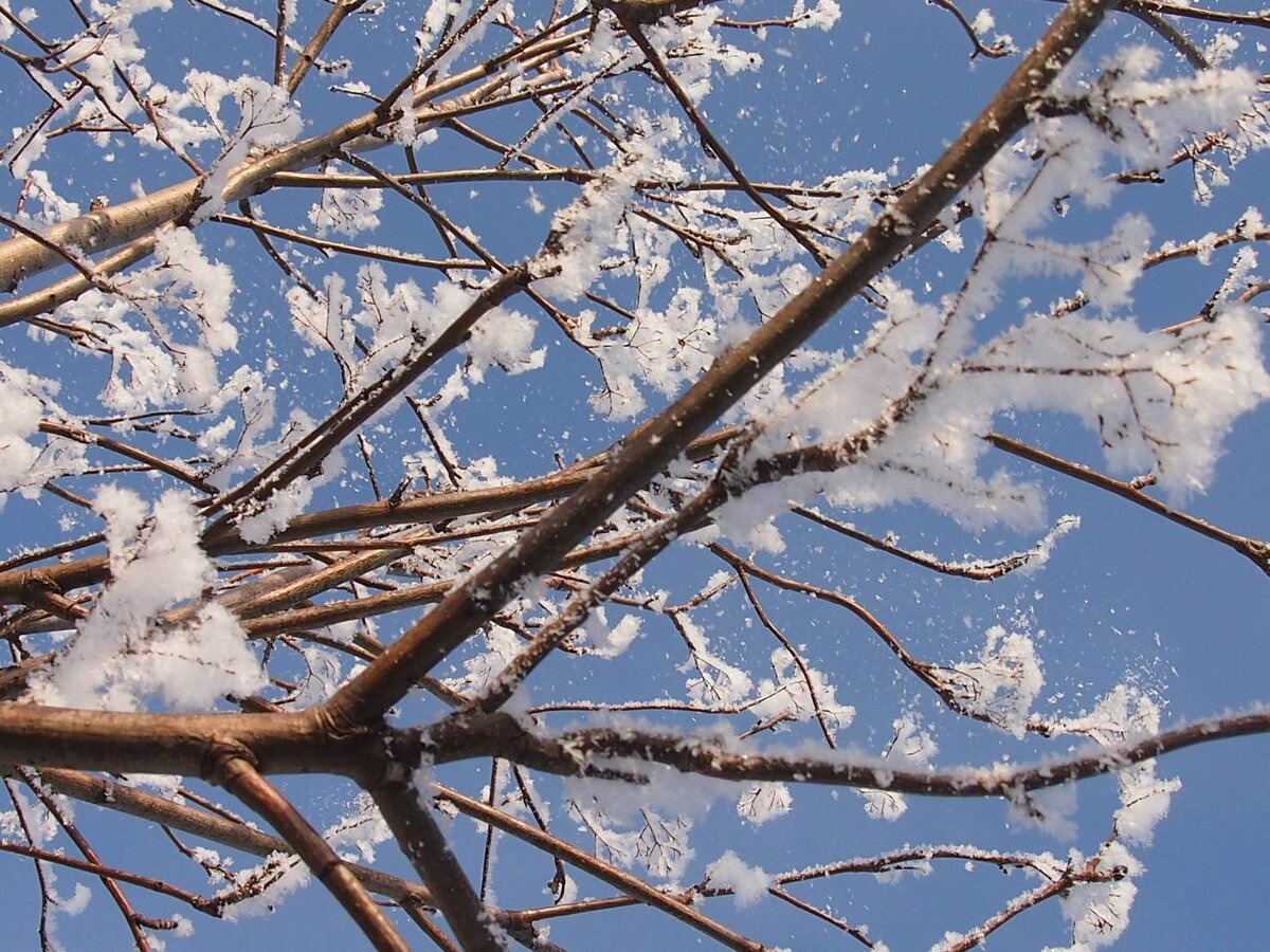    Небольшой снег с дождем: синоптики Башкирии озвучили прогноз на 16 ноября