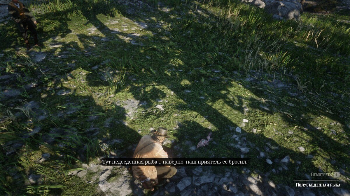 Недоеденная рыба медведя