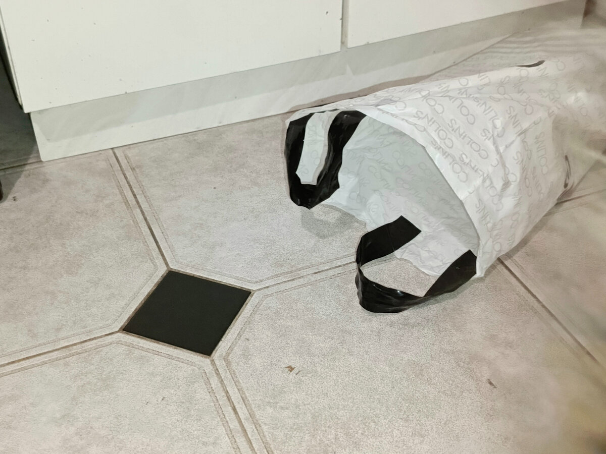 Видите тут меня? А не видите, потому что хозяйка и телефон не успели, я уже ушел😂