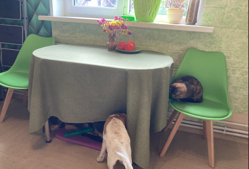 И даже цветочки захотелось поставить. Самой теперь интересно: а что, я и на эту поверхность своих бумажек скоро навалю, да?