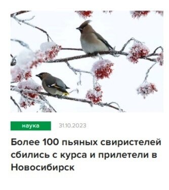 Когда хотел на Поднебесные, но оказался в Новосибирской области)