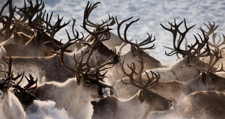 Фото: окружной департамент сельского хозяйства и продовольствия 