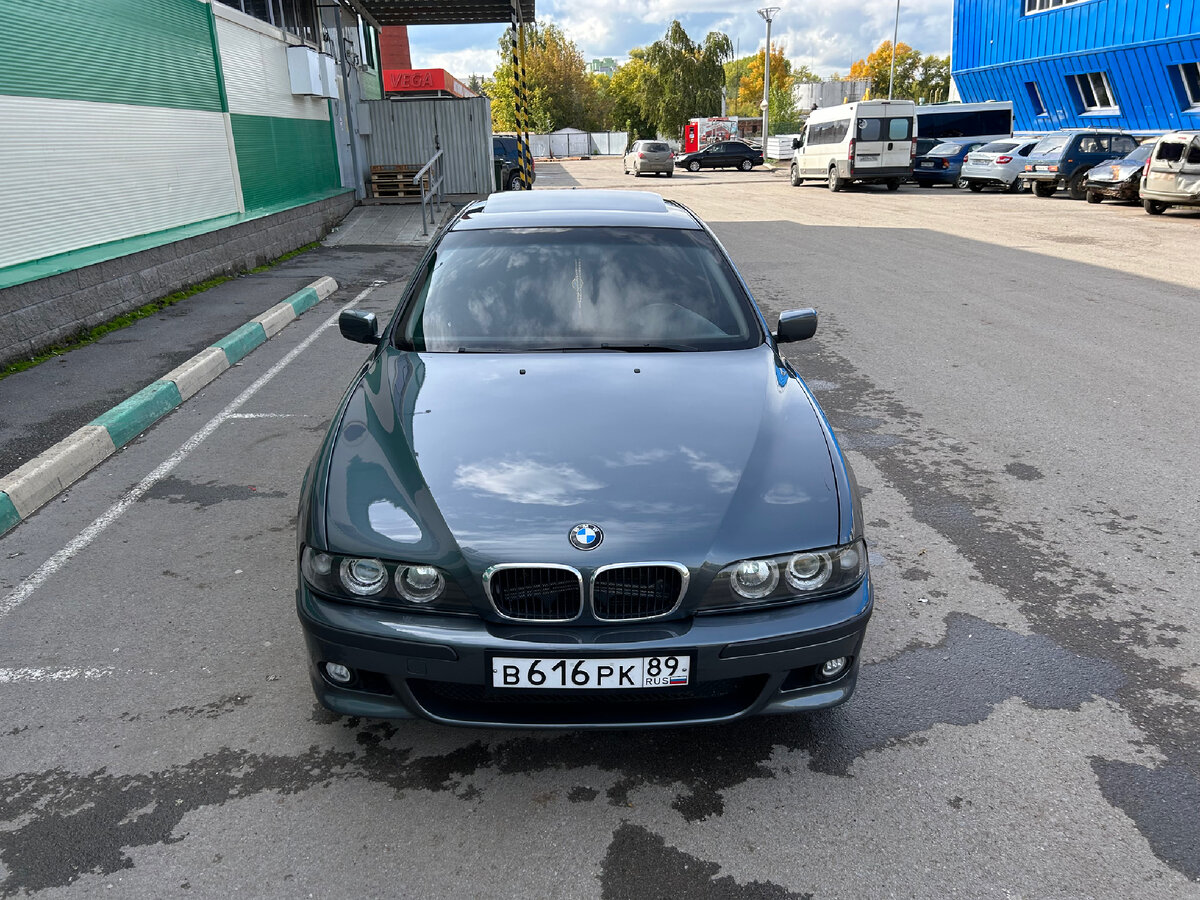 Как выбрать BMW E39 | Тим Магадеев | Дзен