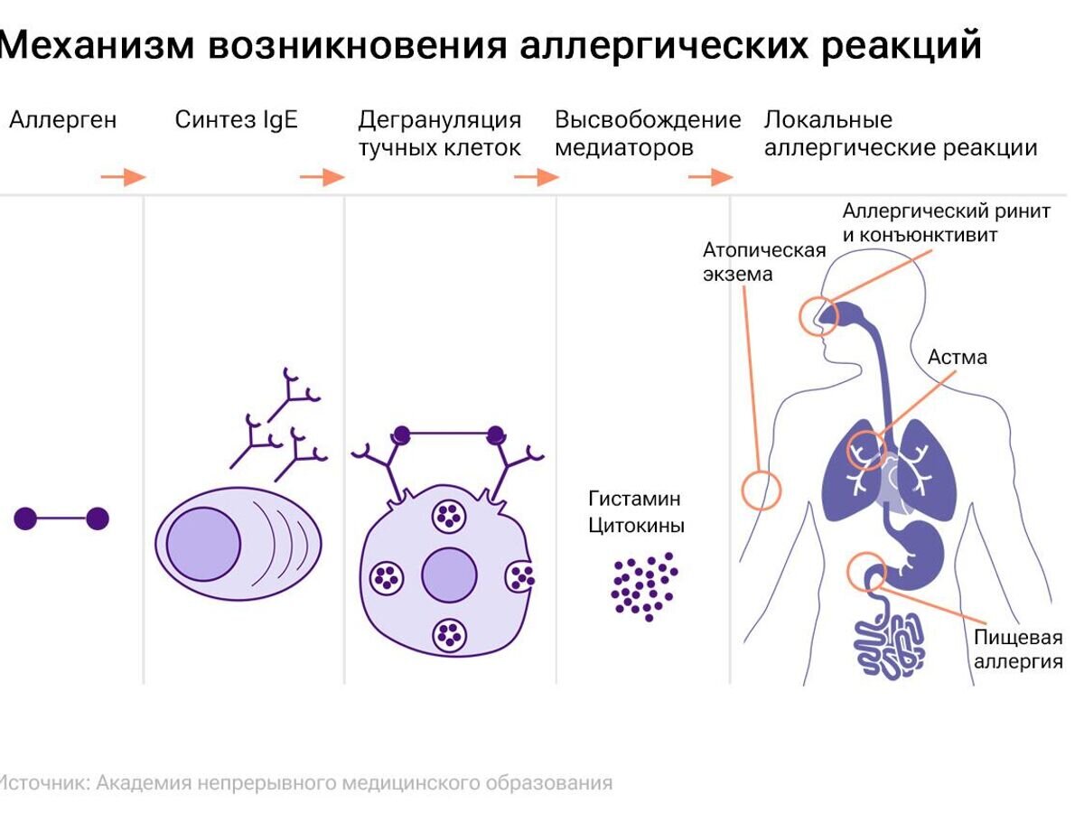 Поражает сердце. Ученые выявили неожиданную опасность молочных продуктов |  РИА Новости | Дзен