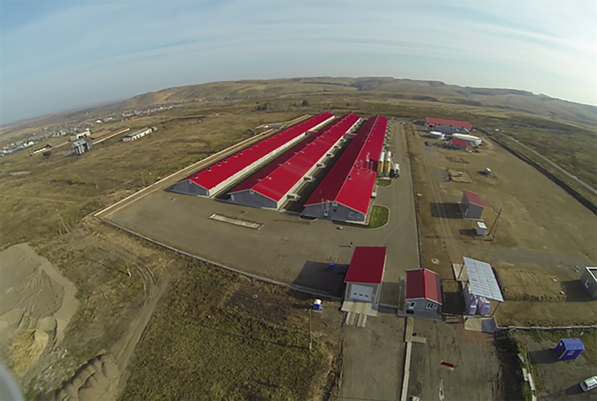     Еще в 2019 году Минсельхоз отмечал большой вклад «АгроЭлиты» в развитие Красноярского края. Особенно подчеркивалась инвестиционная привлекательность предприятия