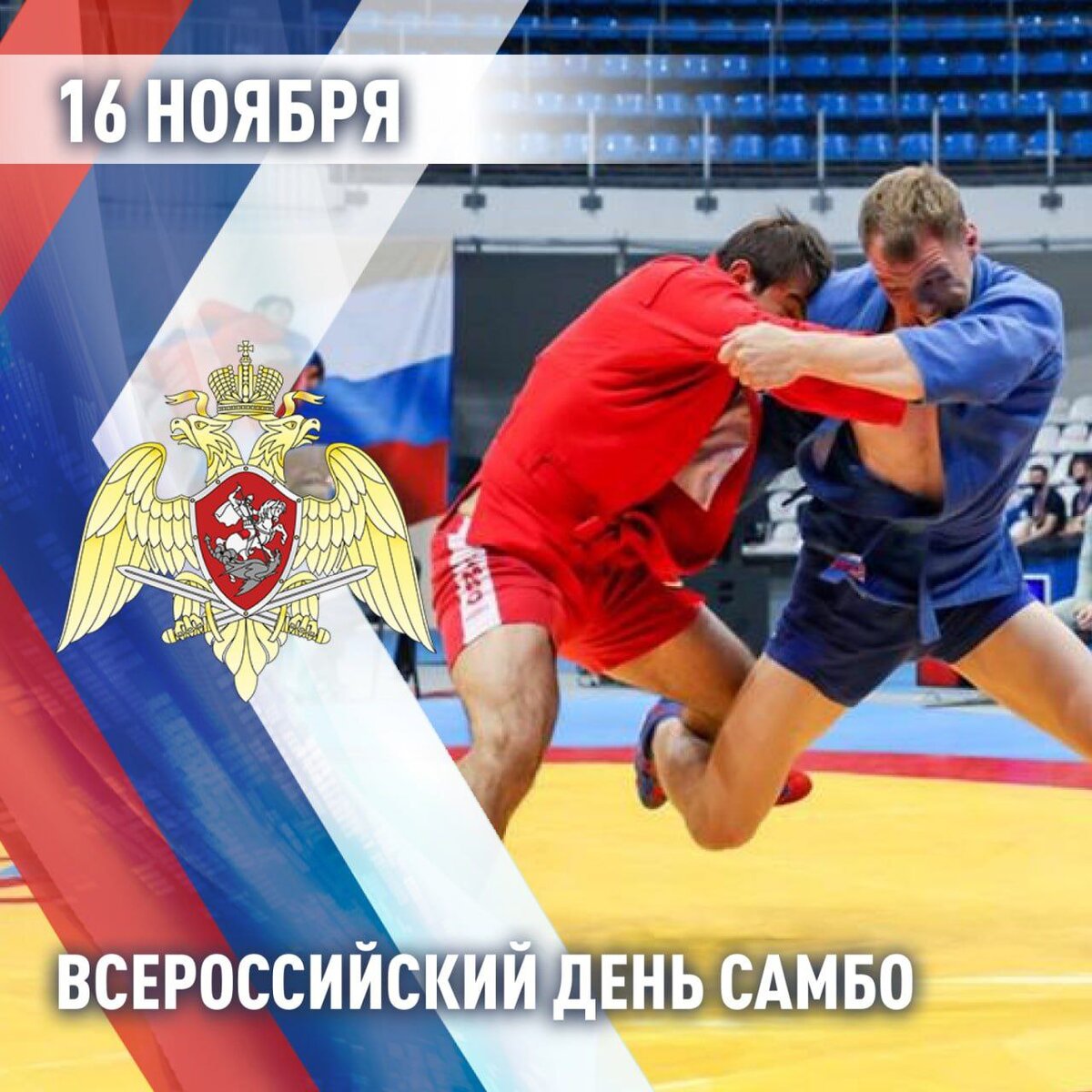 Кардашин Василий самбо