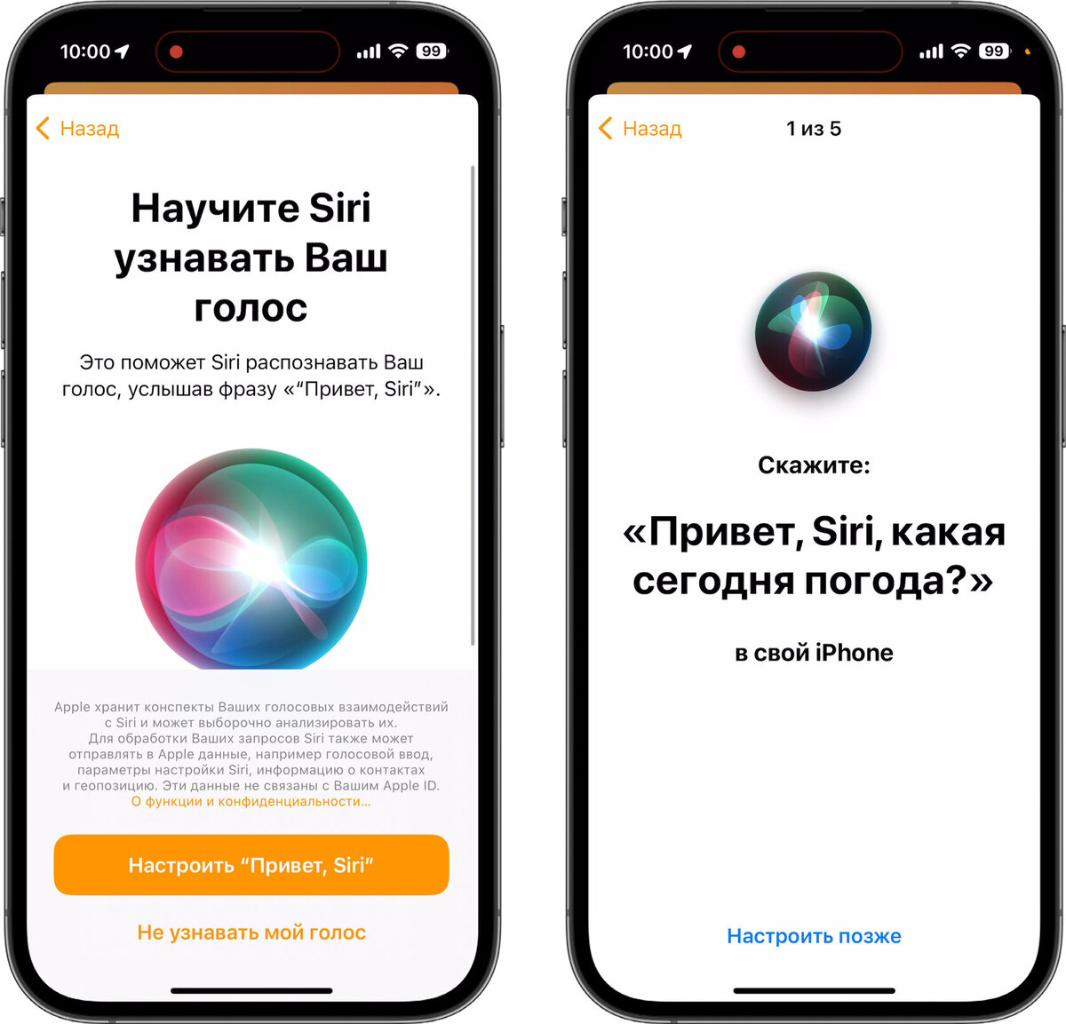 Подключение и настройка HomePod mini | Добрый мозг | Умный дом | Дзен