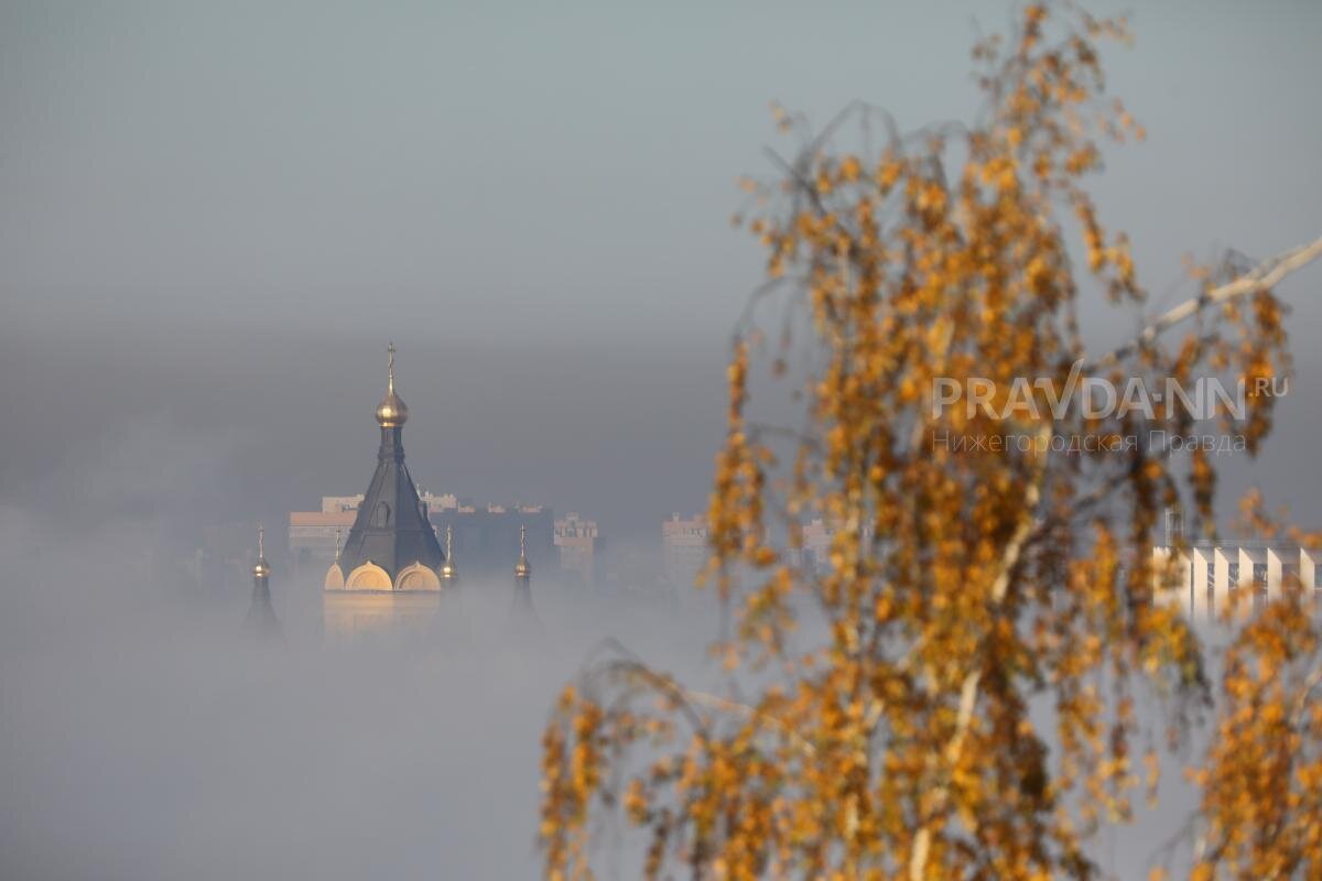    Туман 17 ноября приведет к оттепели Pravda-nn.ru