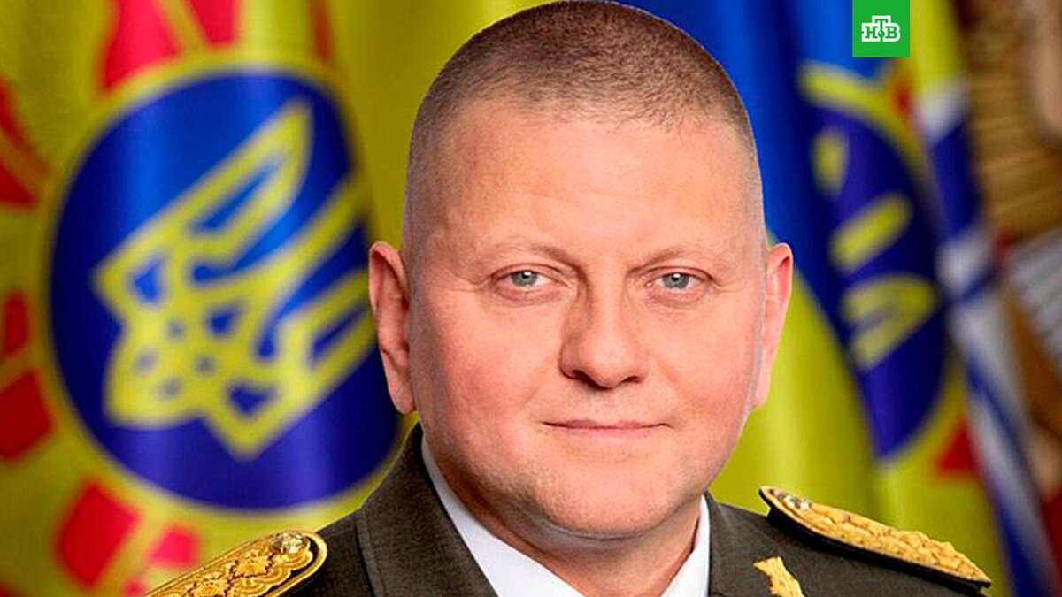    Фото: zaluzhnyj / t.me