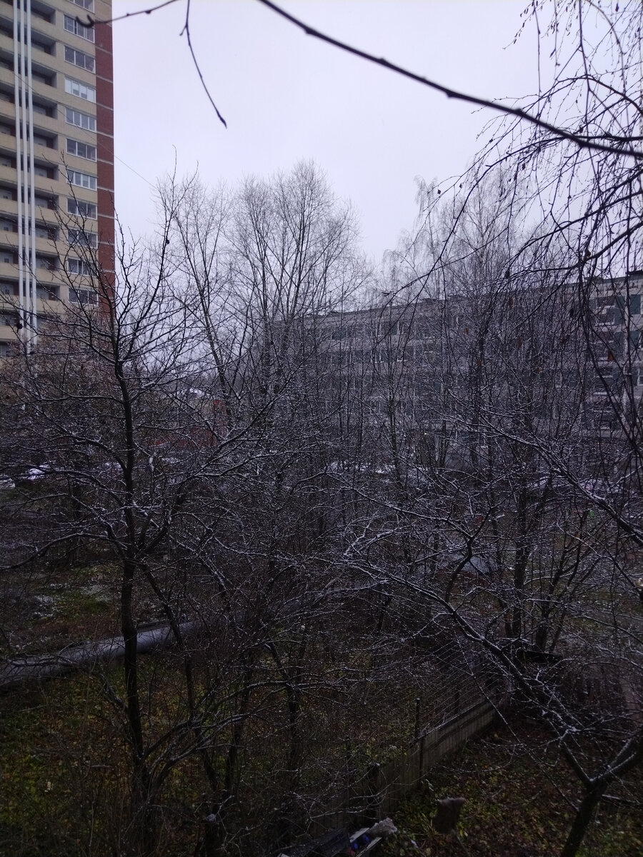 За ночь что-то нападало и даже осталось.