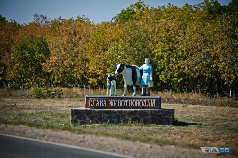    В Оренбуржье с начала года произведено 148 тысяч тонн молока Кристина Просвиркина